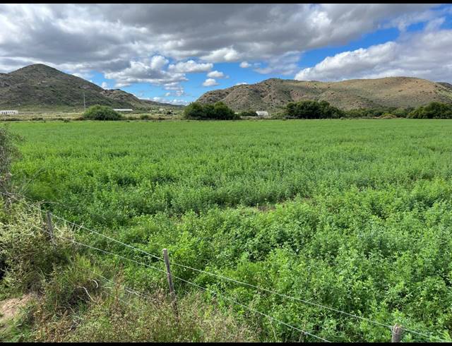 338HA FARM FOR SALE IN LADISMITH RURAL